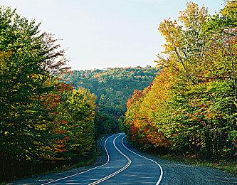 《咩咩启示录》宣布双人合作模式将于8月12日上线